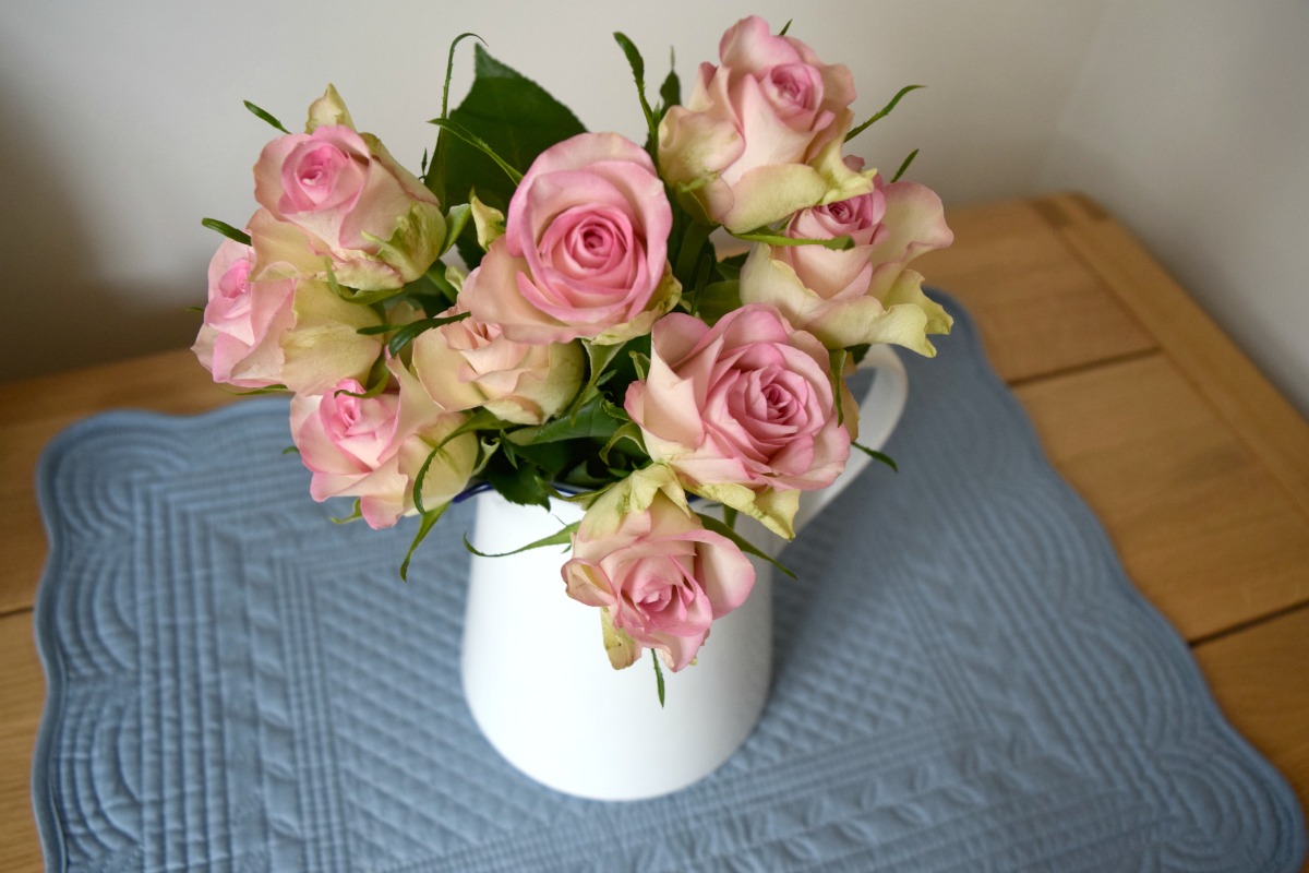Roses in white jug