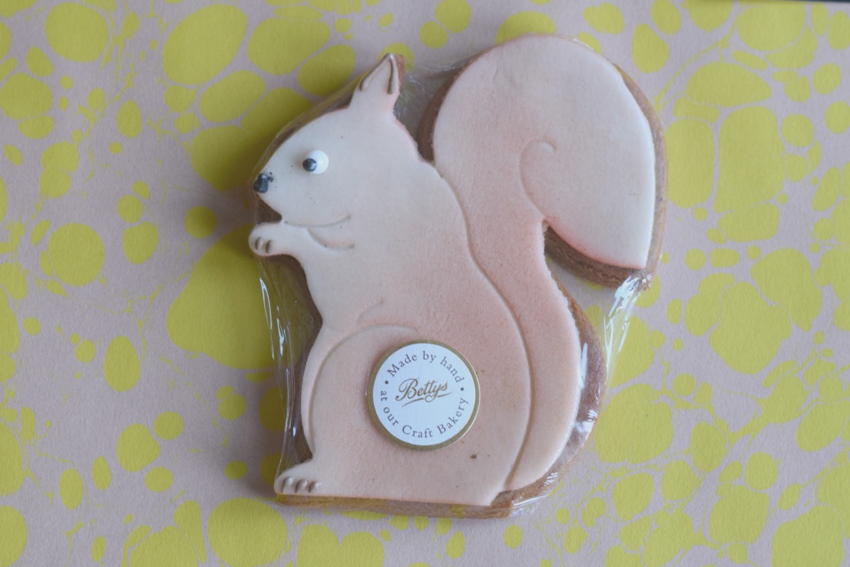 Betty's squirrel biscuit