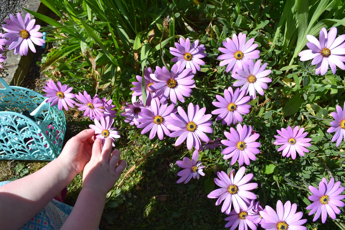 Flo holding some purple flowers 