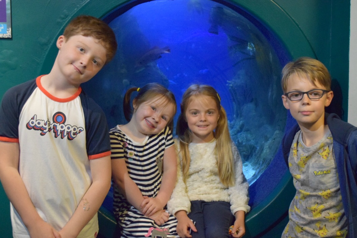 Kids at the National Marine Aquarium