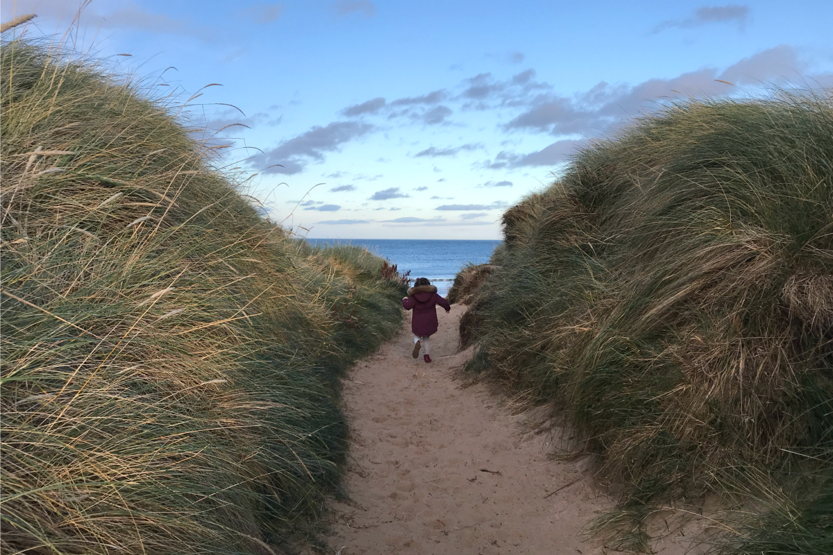 Northumberland beach with Flo